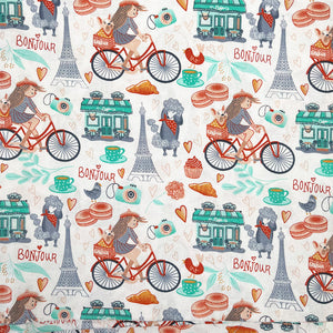 Paris bicycles