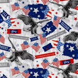 Cozycoverups kitchen Appliance fabric: Pattern Novelty prints - America brave and free