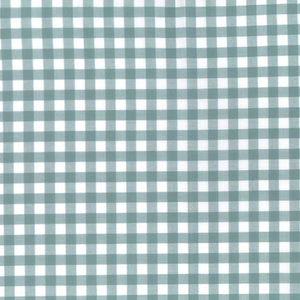 Gingham 1/4 inch in duck egg green